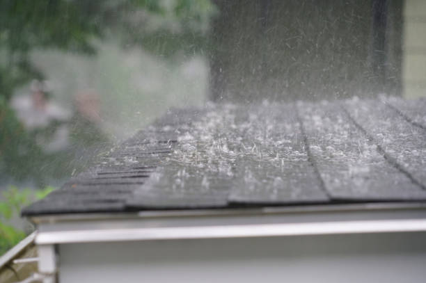 Emergency Roof Repair in Huntington Woods, MI