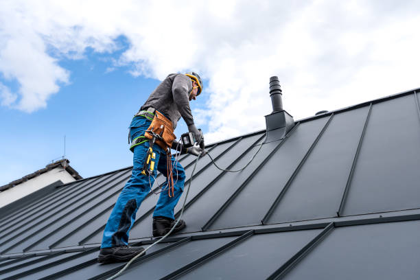 Best Steel Roofing  in Huntington Woods, MI